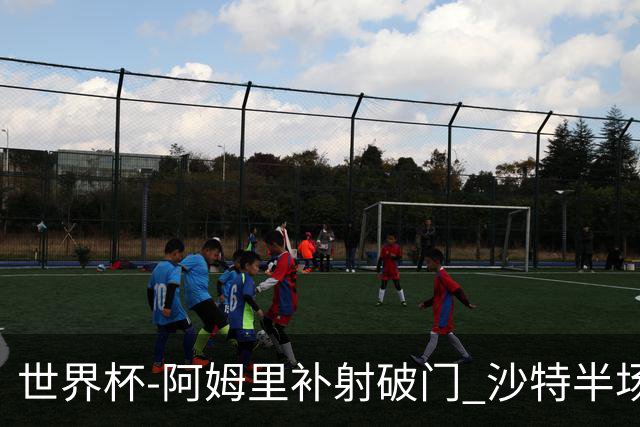 世界杯-阿姆里补射破门 沙特半场暂1-0领先乌拉圭